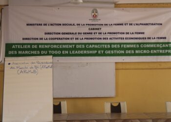 TOGO/Société : Le ministère de l’action sociale, de la promotion de la femme et de l alphabétisation renforce la capacité des femmes commerçantes en leadership et gestion des micro-entreprises.